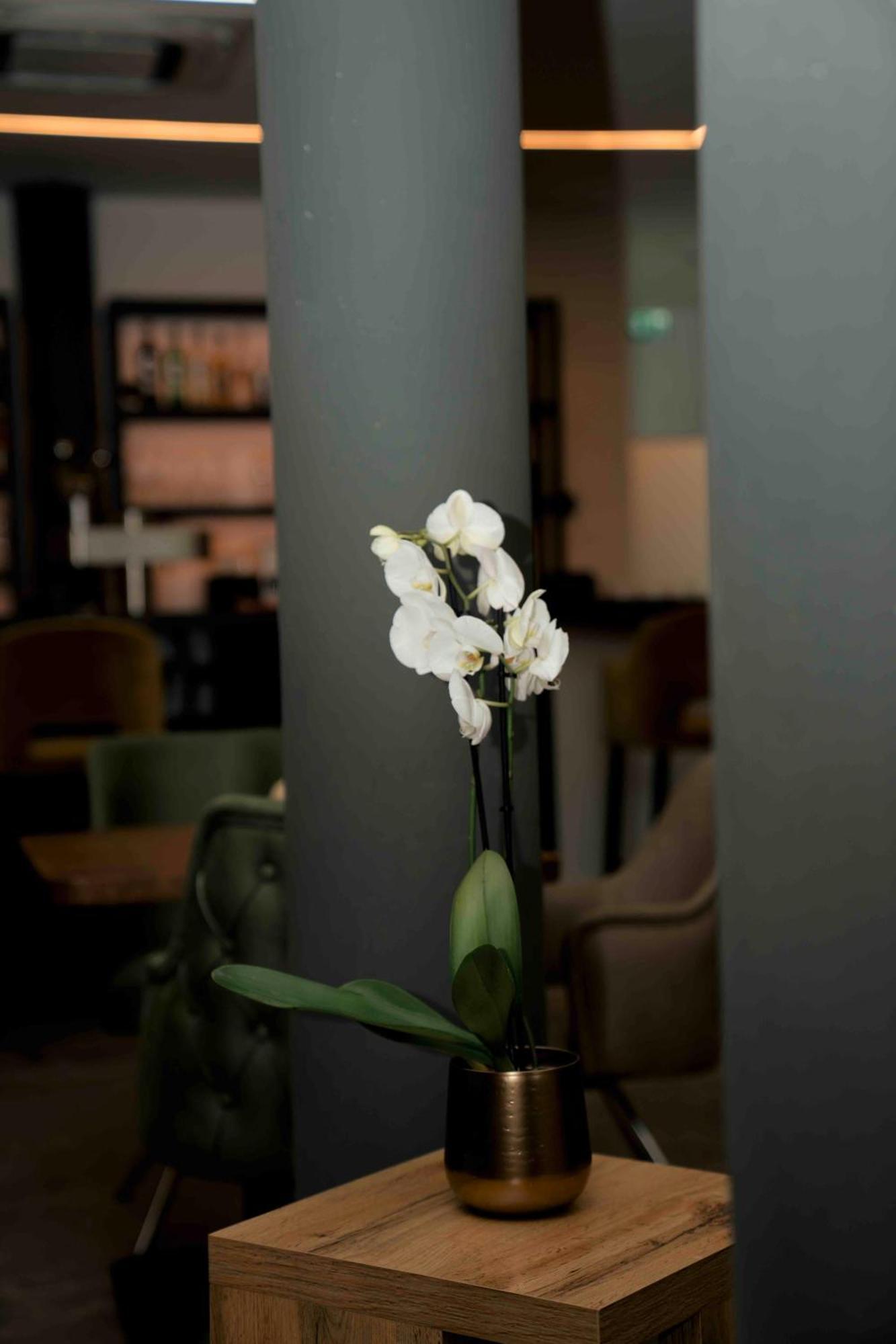 Central Hotel & Lounge Adult Only Goslar Extérieur photo